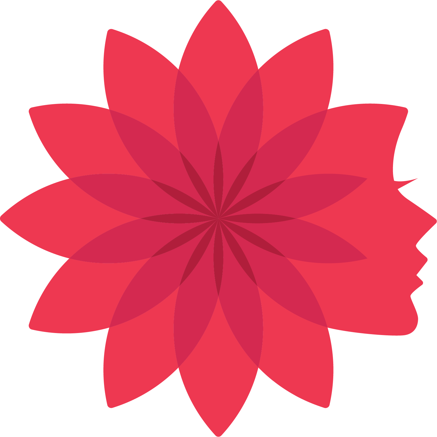بامَن